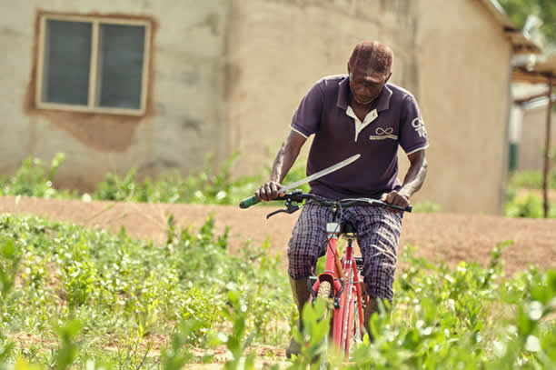 cycling-for-food-2